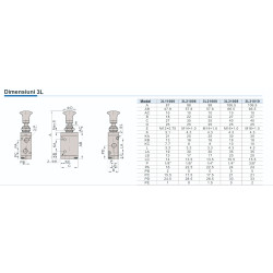 Distribuitor manual push-pull seria 100 schema 3/2 filet 1/8